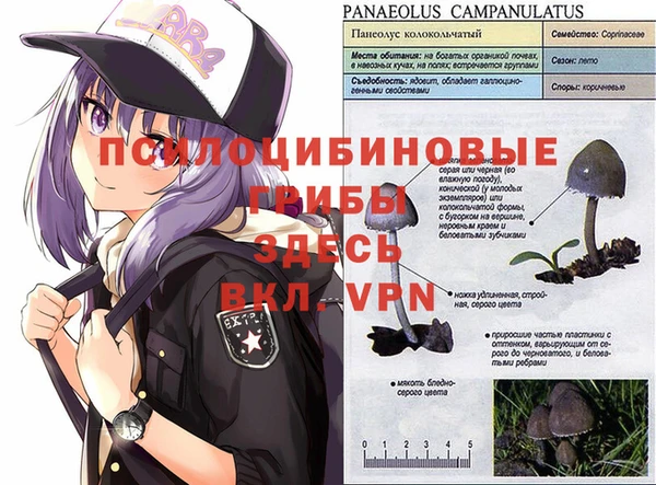 каннабис Алексеевка