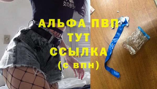 сатива Алзамай