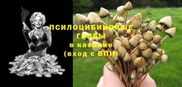 каннабис Алексеевка