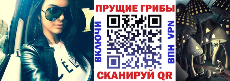 Галлюциногенные грибы MAGIC MUSHROOMS продажа наркотиков Лермонтов